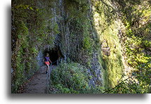 Wejście do tunelu lewady::Lewada Fajã do Rodrigues, Madera, Portugalia::