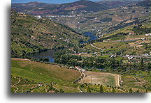 Douro River::Douro Valley, Portugal::