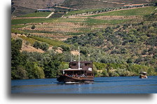 Boat on Douro River::Douro Valley, Portugal::