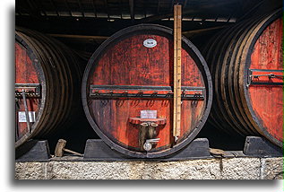 Quinta do Beijo Winery::Douro Valley, Portugal::